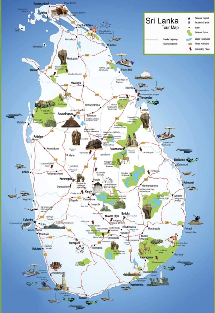 FB IMG 1684087646139