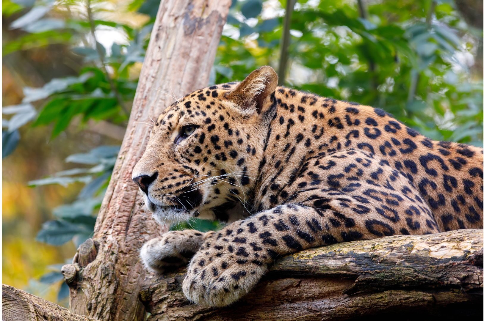 Untitled design 3 e1683461659844