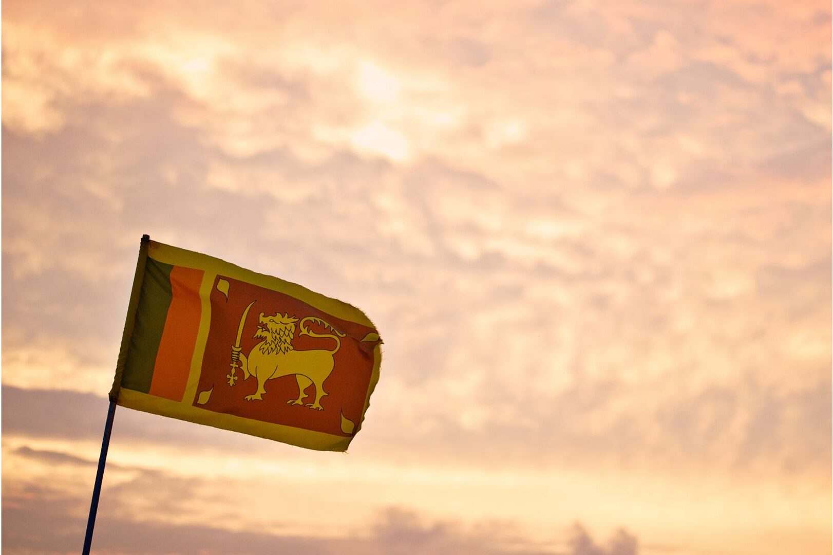 Untitled design 8 e1683464840344