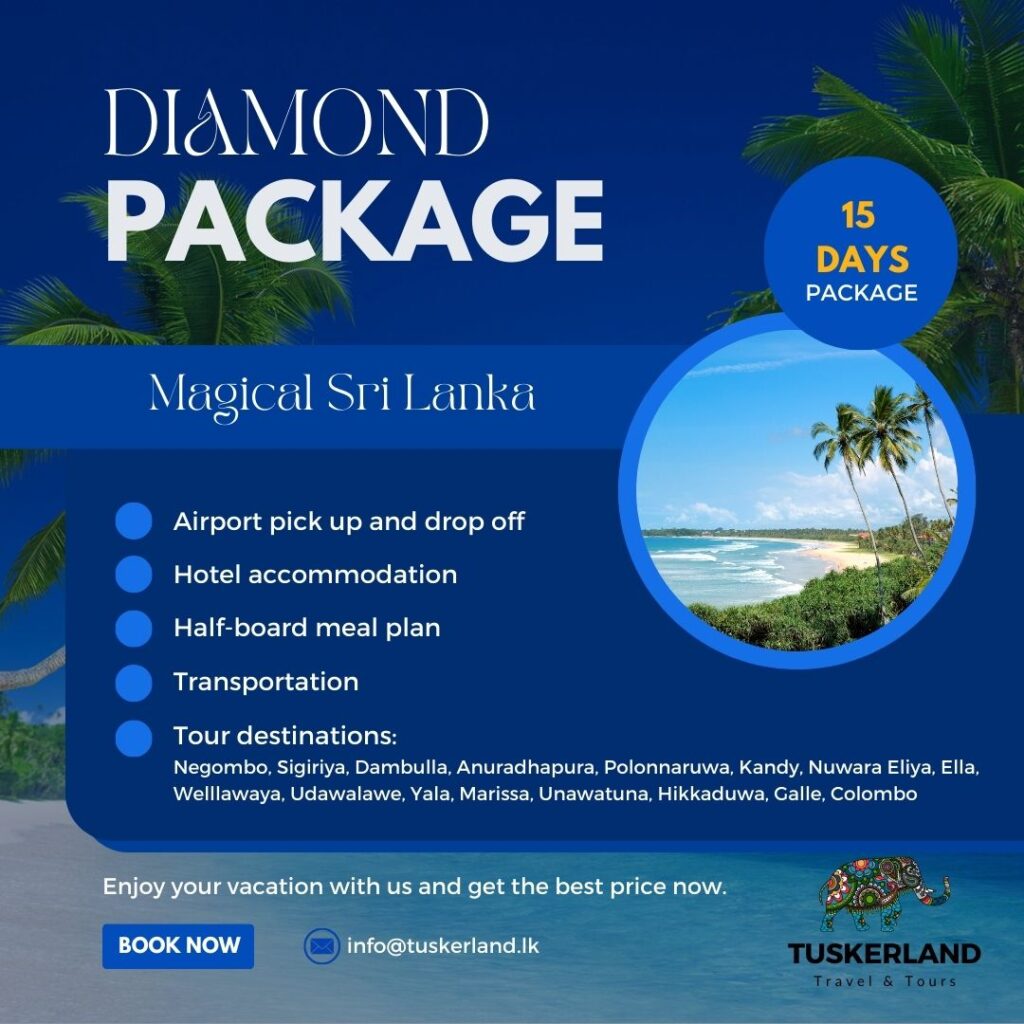 blue modern open trip package instagram post