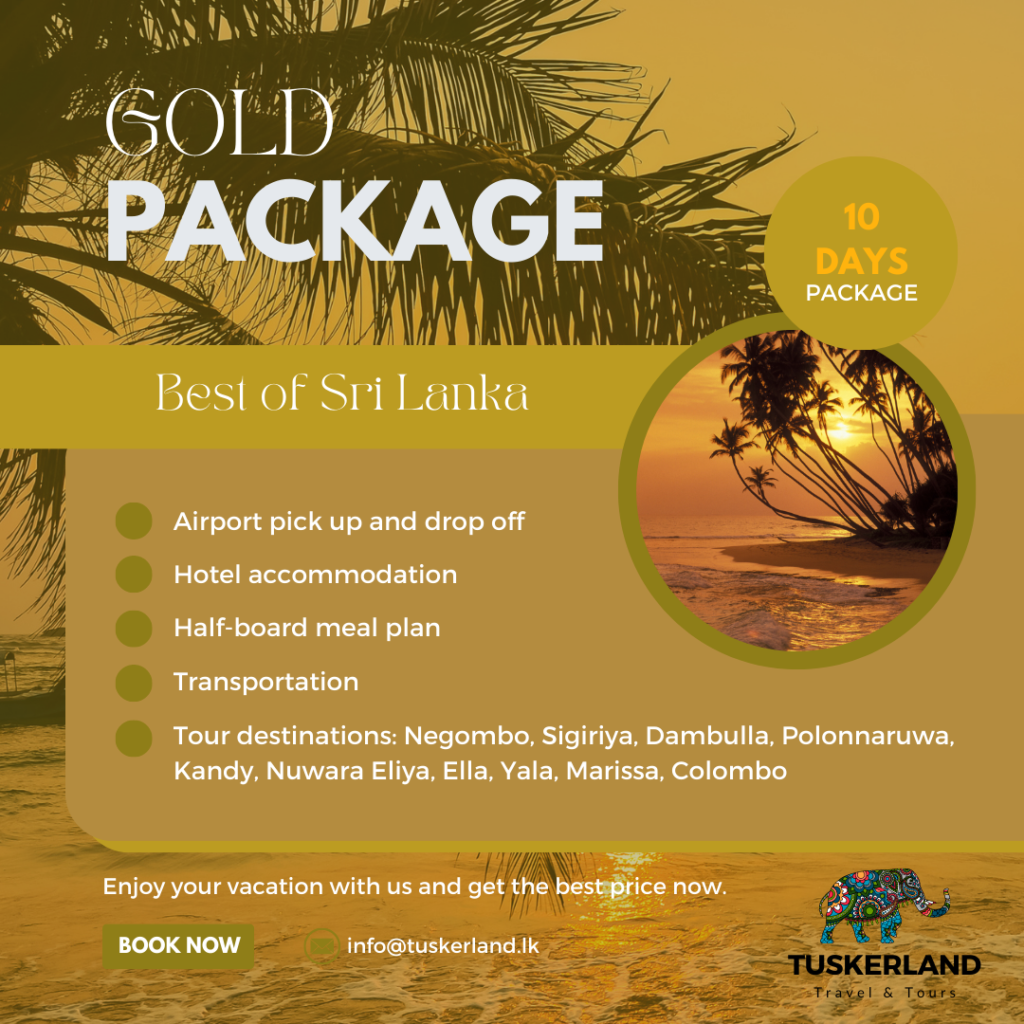 blue modern open trip package instagram post