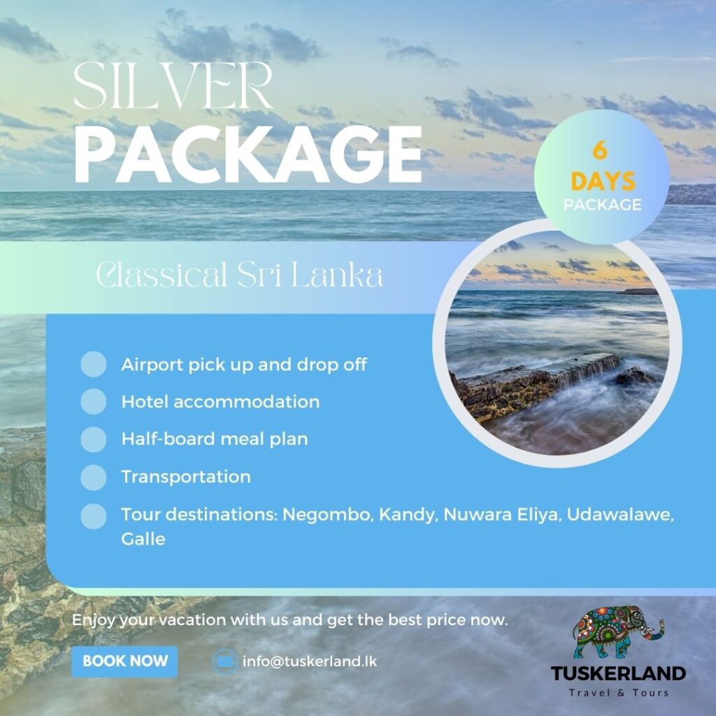 blue modern open trip package instagram post 2