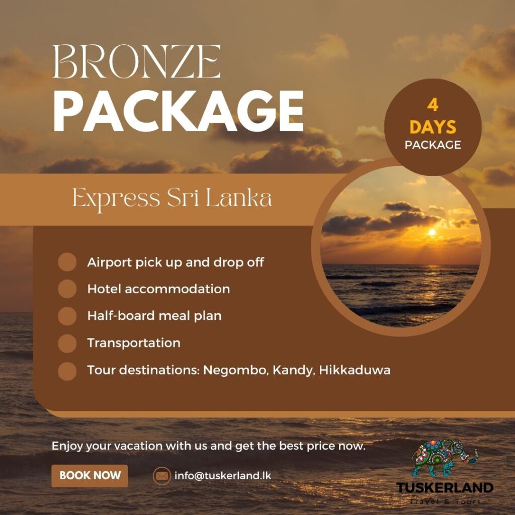 blue modern open trip package instagram post 3